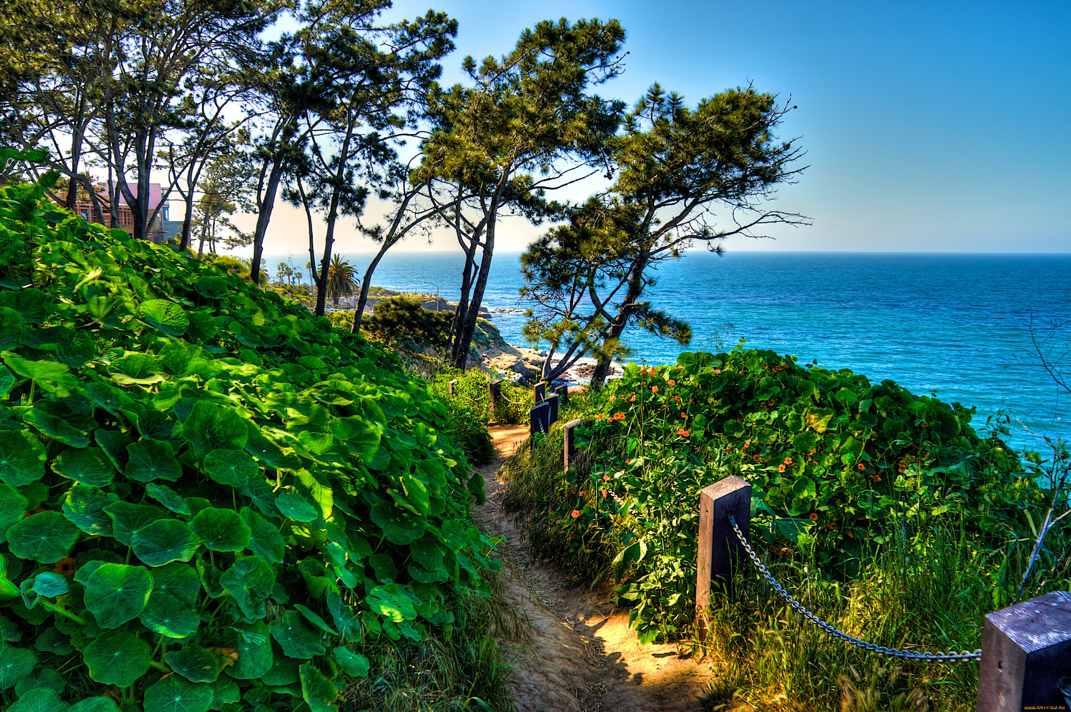 the, beach, , , , , 